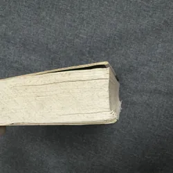 Sách Đệ nhất phu nhân Trần Lệ Xuân - Hoàng Trọng Miên 739106