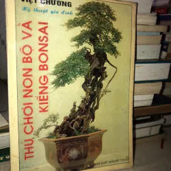 Thú chơi non bộ và kiểng bonsai