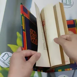 [MIỄN PHÍ BỌC SÁCH] [XƯA] Northern Lights (1980) 990449