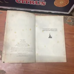 STORA SKRACKENS GRAND VAMPYRENS HOGGTAND- TOMMYDONBAVAND 674765