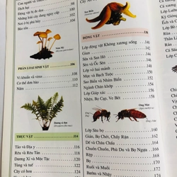📚 BÁCH KHOA THƯ THẾ GIỚI TỰ NHIÊN 479463