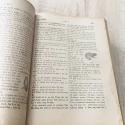 VIỆT NAM TÂN TỰ ĐIỂN 1966 995118