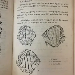 KỸ THUẬT NUÔI CÁ KIỂNG, CÁ CẢNH VÀ TRIỂN VỌNG XUẤT KHẨU - VĨNH KHANG & BÙI VIẾT THUYÊN 787300