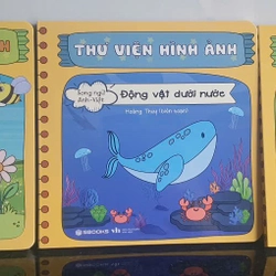 Bộ Sách Thư Viện Hình Ảnh Màu 9 Tập