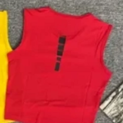 Combo 2 Áo Croptop thể thao Yoga, Zumba, Gym (Màu xanh lá & đỏ - size L) 333999