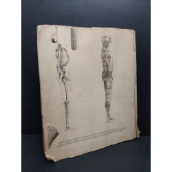 [Phiên Chợ Sách Cũ] Drawing schoolrách sách 2303 425901