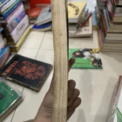 Tiểu luận phê bình- Cánh bướm và đoá hướng dương  714444