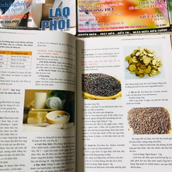1. LÔ BÁO Y HỌC PHỔ THÔNG  541726