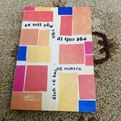 Có một phố vừa đi qua phố - Đinh Vũ Hoàng Nguyên