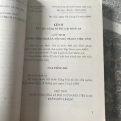 Bộ luật hình sự 1999 sửa đổi 2009 457861