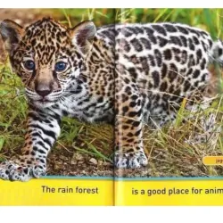 National Geographic kids - Level pre reader 30 cuốn giấy bóng đẹp tặng Audio 1000806