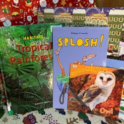 Combo 4 cuốn - Tropical Rainforests, Splosh!, Owl, tặng 1 cuốn, tình trạng kém