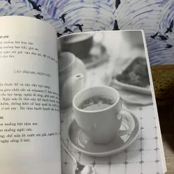 Trà Và Thảo Dược 748619