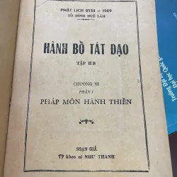 LƯỢC GIẢI KINH HOA NGHIÊM (TẬP 2B - CHƯƠNG VI VÀ VII)  1032094