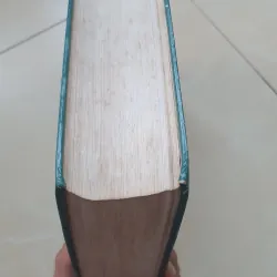 CÂY THUỐC VỊ THUỘC VIỆT NAM  931945