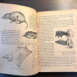 📖 Đời sống các loài thú (xb 1972) 565178