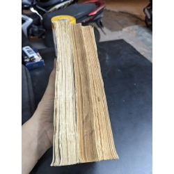 Những ông vua bị nguyền rủa - Maurice Druon 396161