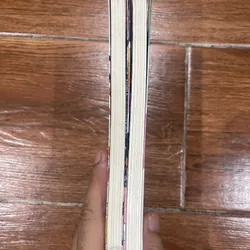 Thanh gươm diệt quỷ 2 cuốn tiểu thuyết (19) 593184