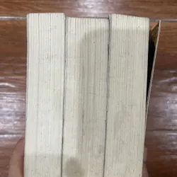 Pháp Thuật - Kinh Công - Y Thuật  Septimus Heap - Angie Sage - 3 tập (4) 596449