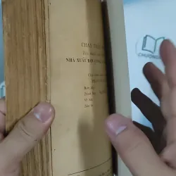 [XƯA] Chạy Trốn Tình Yêu (1993) - Triệu Huấn 798512