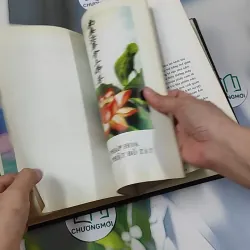 Phổ Môn Phẩm (họa tập) 750745