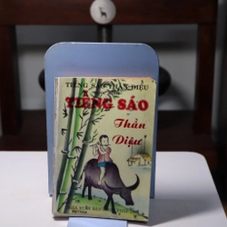 Tiếng sáo thần diệu 1994 của Ngọc Minh biên soạn