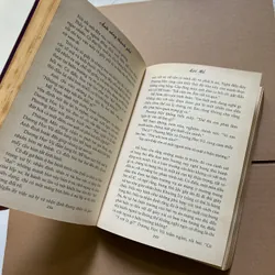 Ánh sáng thành phố - Lôi Mễ 734301