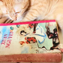 Tiểu thuyết XUÂN NGUYỆT - nữ nhà văn Bette Bao Lord 703876