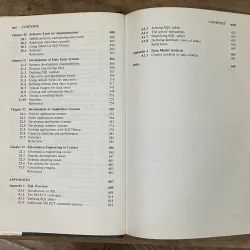 Information Engineering: Strategic Systems Development - Clive Finkelstein 750128