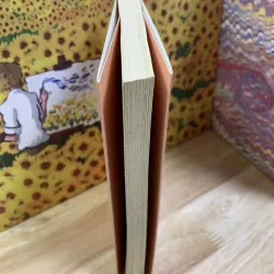 Chiếc Âu Vàng - E.T.A.Hoffmann 699379