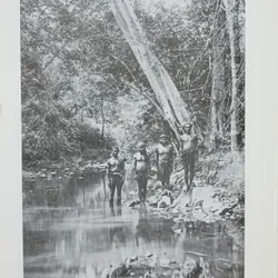 Rừng người Thượng (Henry Maitre) 662512