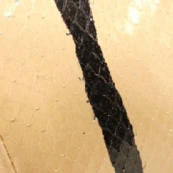 Túi Fendi Peekaboo 8BN226 M5X 617027