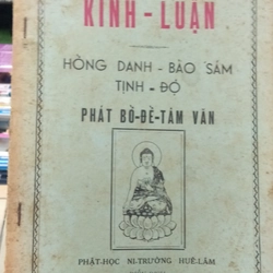 HỒNG DANH - BẢO SÁM TỊNH - ĐỘ PHÁT BỒ ĐỀ TÂM VĂN 215814