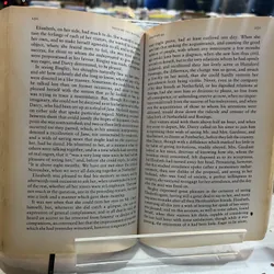 PRIDE & PREJUDICE 688269