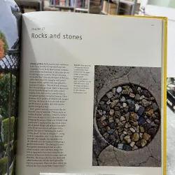 TRADITIONAL JAPANESE ARCHITECTURE - MIRA LOCHER 795501