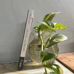 Nợ nhau lời tạm biệt 750762