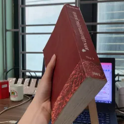 Lịch sử Phật giáo Việt Nam tập 2-tác giả Lê Mạnh Thát 1009333
