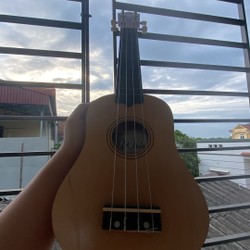 Đàn ukulele Woim vàng cát pha đỏ..còn mới 190232