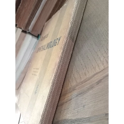 GENERAL OPTHALMOLOGY 164303