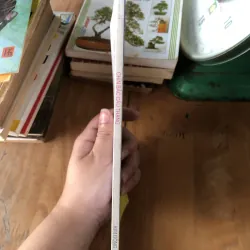 Chín bậc cầu thang 973618