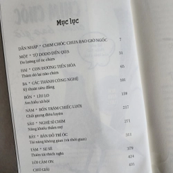 Chim chóc chưa bao giờ ngốc | Jennifer Ackerman 517750