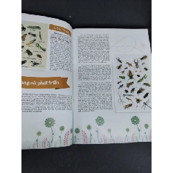 Bí mật của thế giới côn trung (sách màu) mới 80% ố nhẹ 2017 HCM2811 Lê Quang KHOA HỌC ĐỜI SỐNG 917947