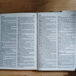 Từ Điển Tiếng Việt (Xb 1995) - Hoàng Phê chủ biên 517568