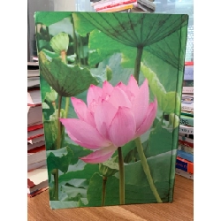 35 Năm xây dựng và phát triển -Bộ y tế Bv châm cứu trung ương