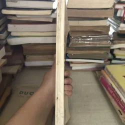 Thất chơn nhơn quả 995104