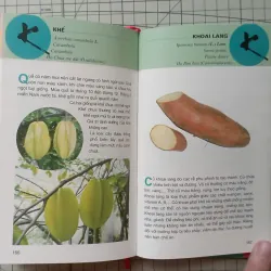 Từ điển tranh các loại củ quả - Lê Quang Long 1024376