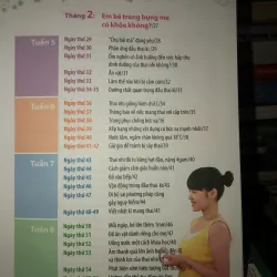 Mang thai thành công 280 ngày - Mỗi ngày đọc một trang - Trạch Quế Vinh 936737