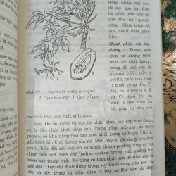 CÂY THUỐC TRỊ BỆNH THÔNG DỤNG - PTS. VÕ VĂN CHI 996132