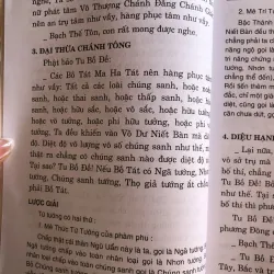 Chư kinh tập yếu - Thích Duy Lực dịch 991700