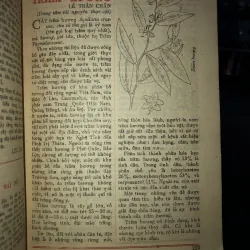 Sách lịch- Kiến thức phổ thông  796914